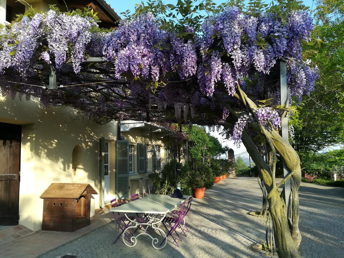 Sotto La Luna Bruna B&B Cocconato Ngoại thất bức ảnh