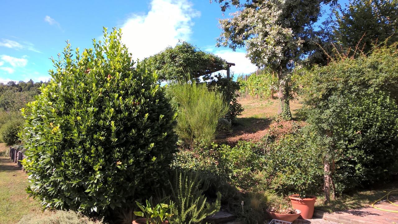 Sotto La Luna Bruna B&B Cocconato Ngoại thất bức ảnh